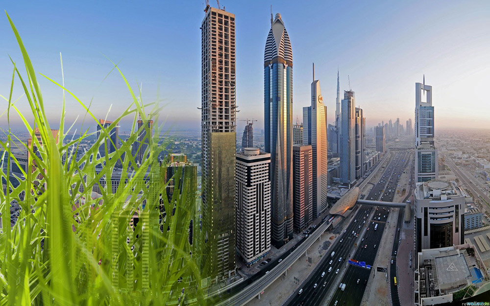 Paysage de gratte-ciels avec herbe au premier plan