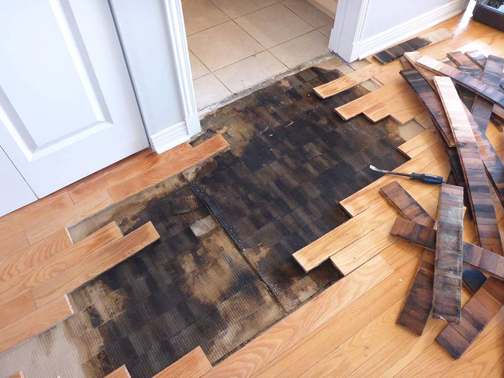 Parquet complètement noirci par des infiltrations d'eau. 
